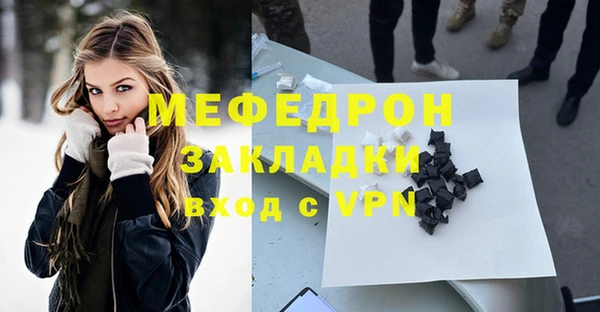 индика Бородино