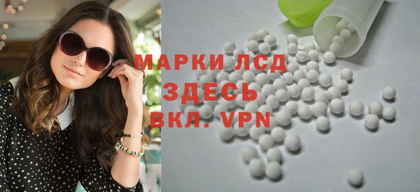 индика Бородино