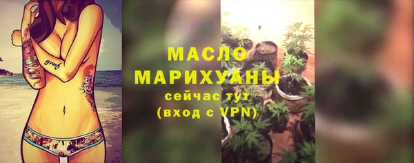 индика Бородино