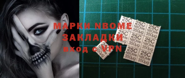 индика Бородино