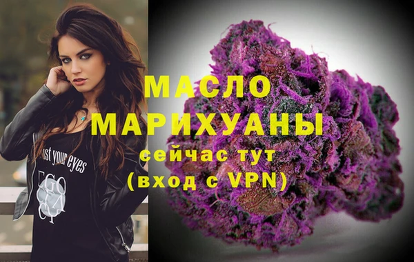 индика Бородино