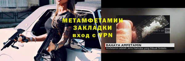 индика Бородино