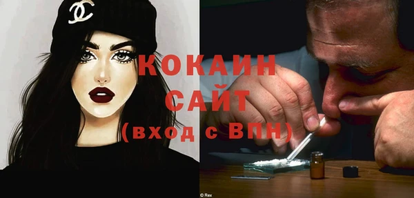 индика Бородино