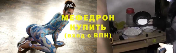 индика Бородино