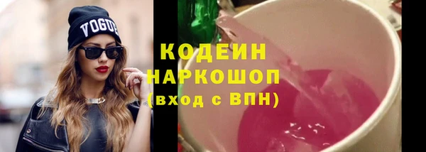 индика Бородино