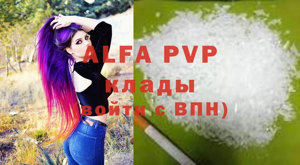 индика Бородино