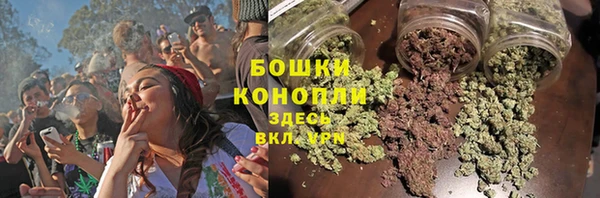 индика Бородино