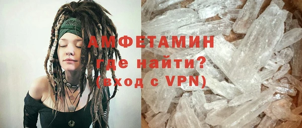 индика Бородино