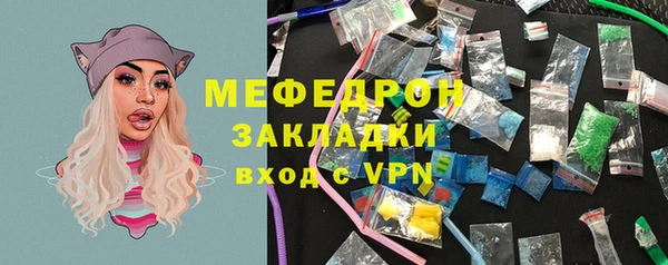 индика Бородино