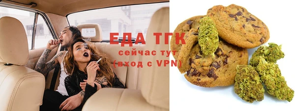 индика Бородино