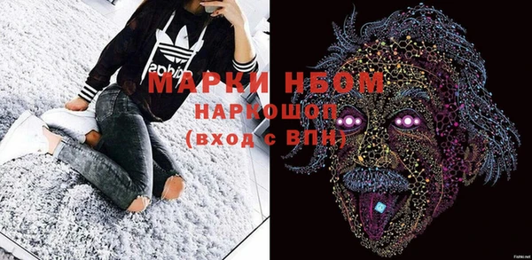 индика Бородино