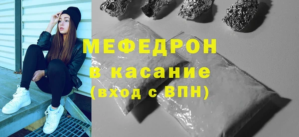 индика Бородино