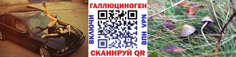 Псилоцибиновые грибы мухоморы Подольск