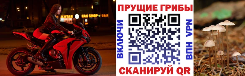 KRAKEN сайт Подольск Псилоцибиновые грибы прущие грибы цена